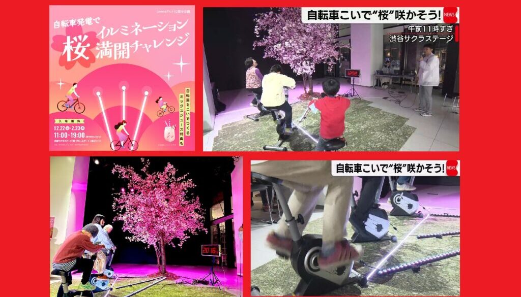 1b4b93bdf1b32851b69584da2fe5d31c