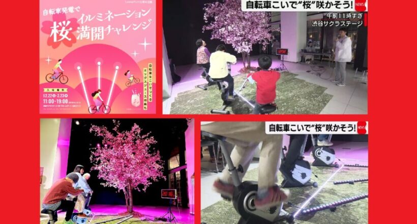 1b4b93bdf1b32851b69584da2fe5d31c