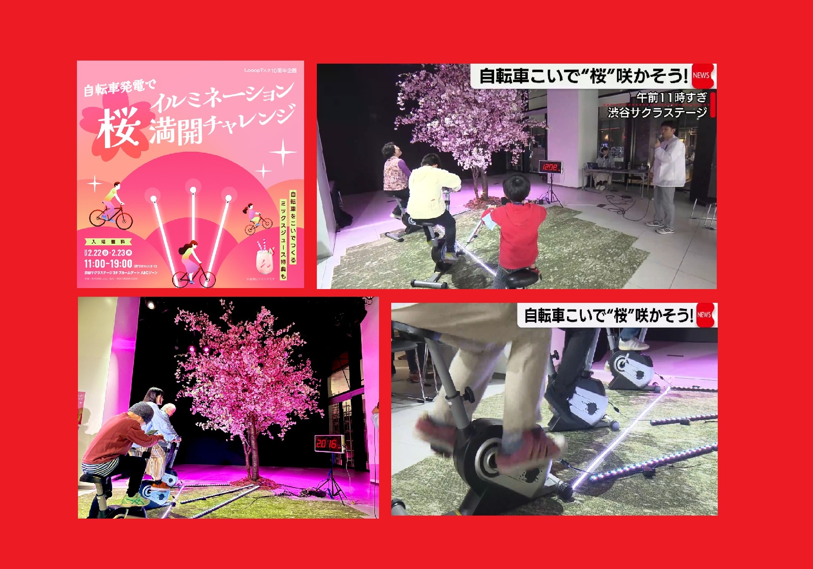 1b4b93bdf1b32851b69584da2fe5d31c