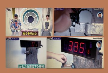 カミキリムシの噛むパワー測定装置(Eテレ「ヴィランの言い分 カミキリムシ」)